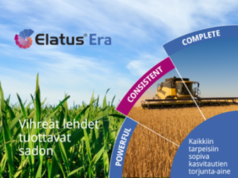 ELATUS Era tarjoaa vankan tautisuojan vehnälle