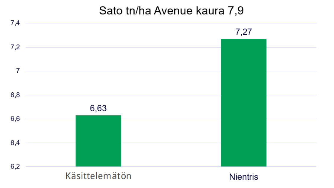 Sato tn/ha Avenue kaura 7,9