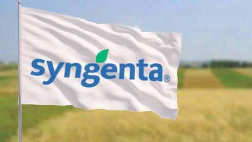 Syngenta