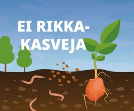 Laajatehoinen peittausaine perunalle