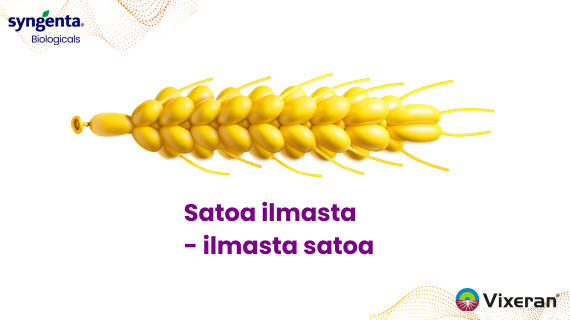 Satoa ilmasta - VIXERAN