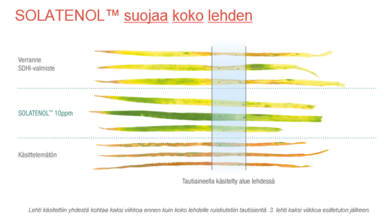 Elatus Plus - solatenol suojaa koko lehden