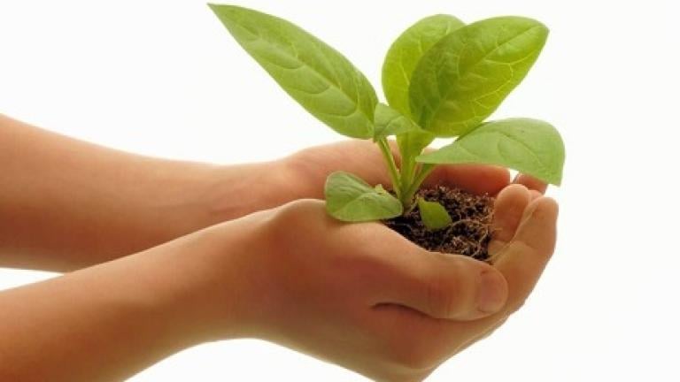 Syngenta