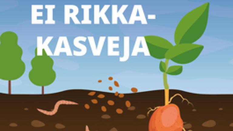 Laajatehoinen peittausaine perunalle