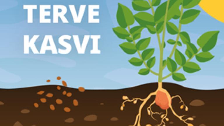 Suojaa perunahometta vastaan varhaisessa vaiheessa.