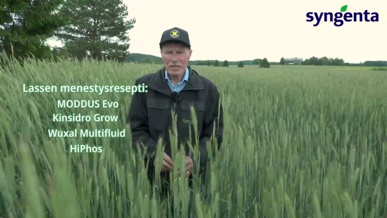 Moddus Evolla tasaisempi rukiin kasvu