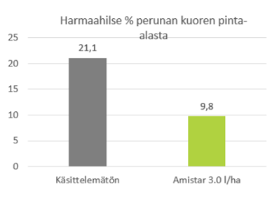 Harmaahilse % perunan kuoren pinta-alasta
