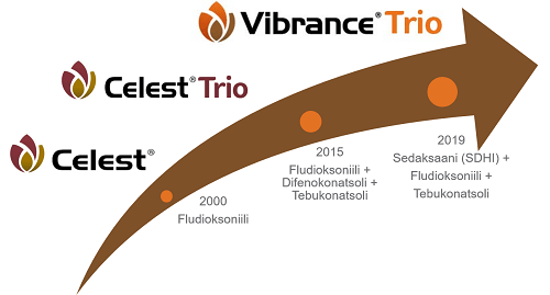 Vibrance