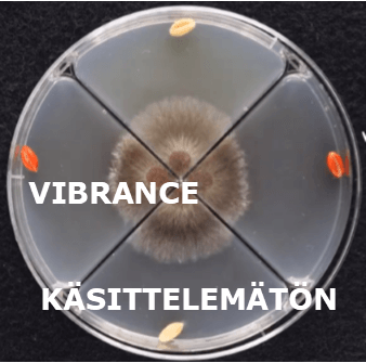 Vibrance - Käsittelemätön