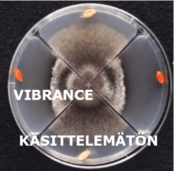 Vibrance - Käsittelemätön