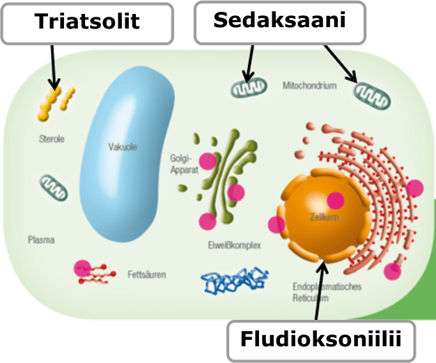 Vaikutustapa