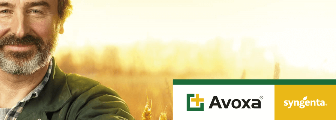 Avoxa banner