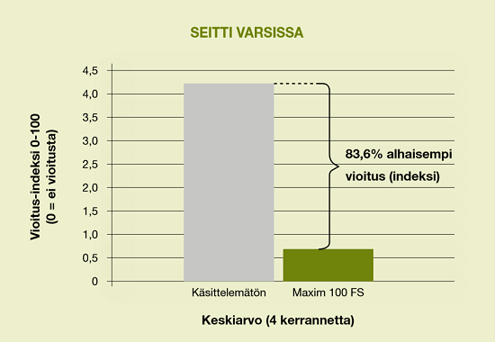 Maxim 100 FS torjuu perunaseitin (Rhizoctonia solani)
