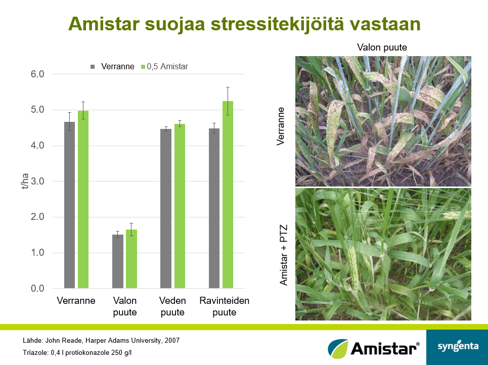 Amistar suojaa stressitekijöitä vastaan