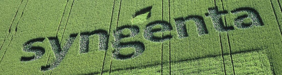 Syngenta logo 