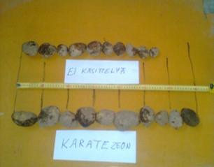 Peruna Karate sato