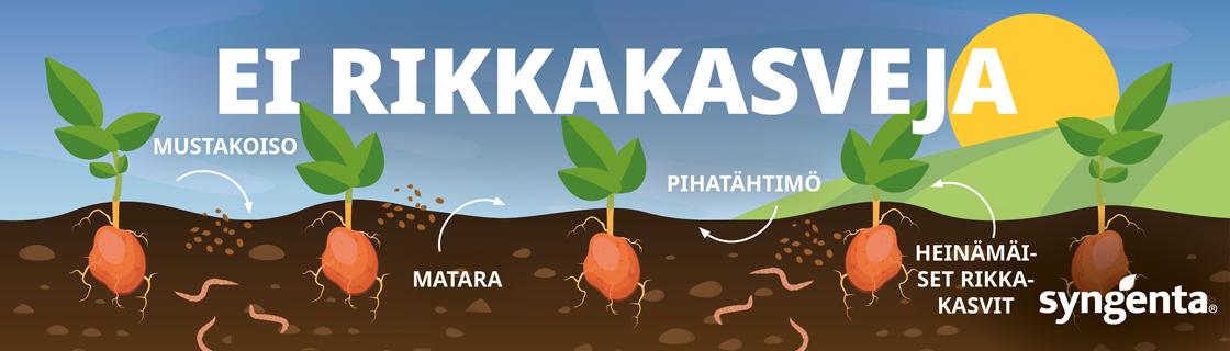 Ei rikkakasveja