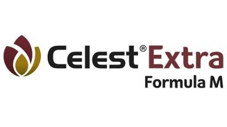CELEST Extra Formula M logo